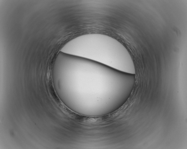 X0000112020129200908031049