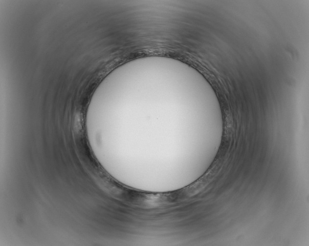 X0000112020130200908031049