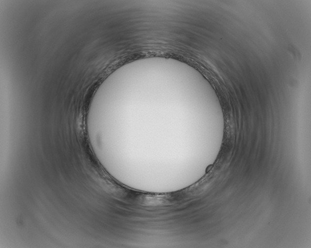 X0000112020134200908031049