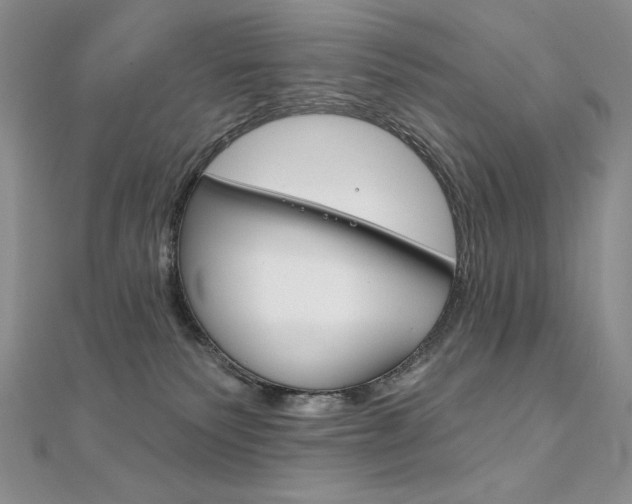 X0000112020135200908031049