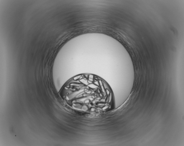 X0000112020136200908031049