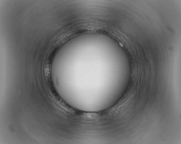 X0000112020137200908031049