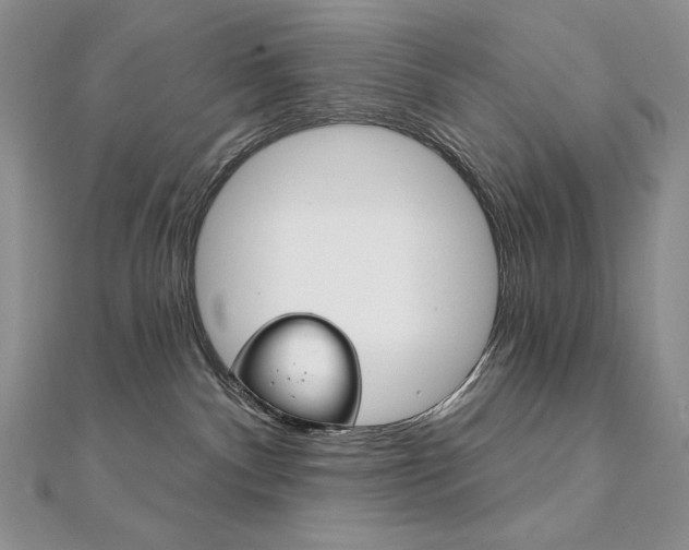 X0000112020140200908031049