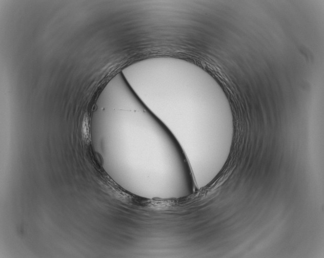 X0000112020143200908031049