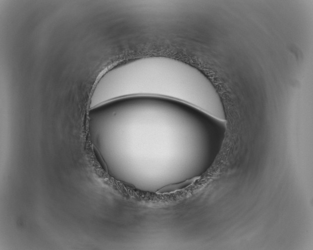 X0000112020144200908031049