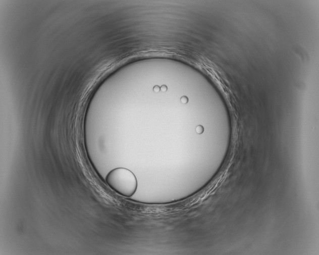 X0000112020145200908031048