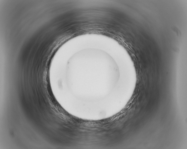 X0000112020146200908031048