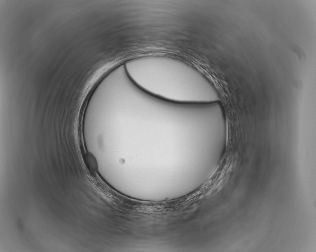 X0000112020147200908031049