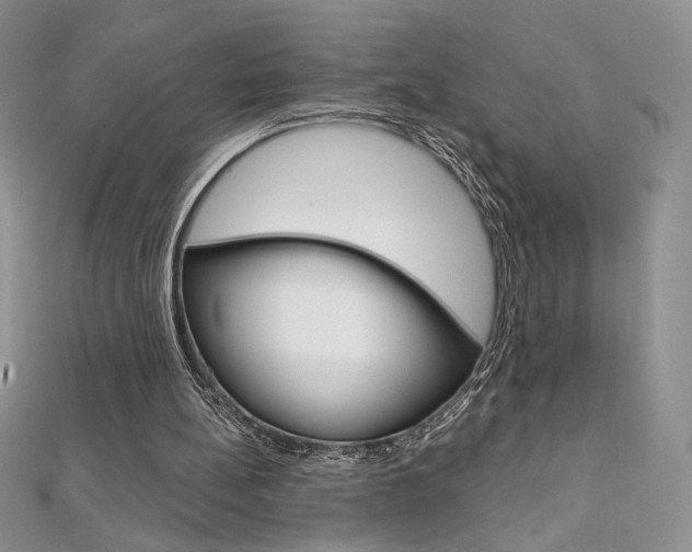 X0000112020148200908031049