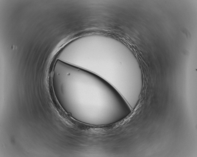 X0000112020150200908031049