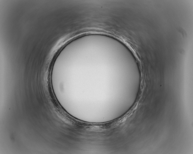 X0000112020151200908031049