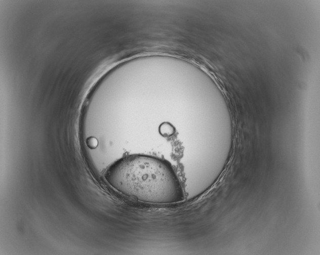 X0000112020152200908031049