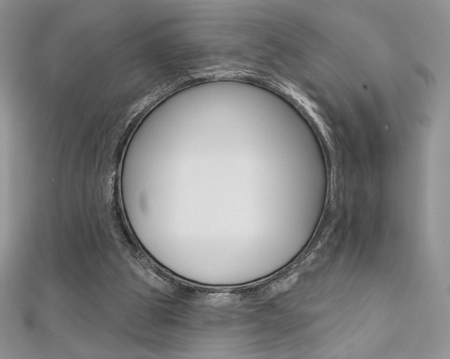 X0000112020153200908031049