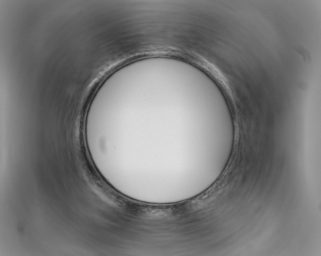 X0000112020155200908031049