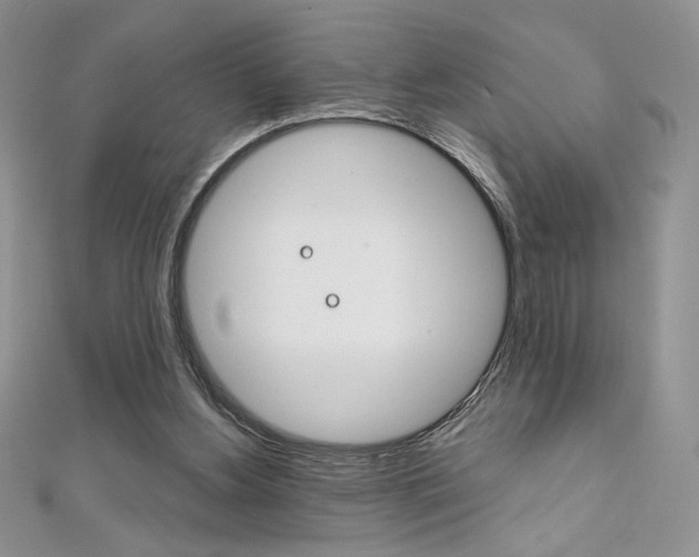 X0000112020156200908031049