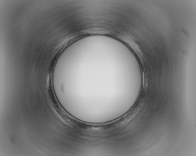 X0000112020157200908031049