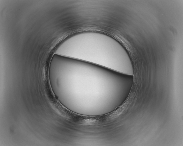 X0000112020158200908031049