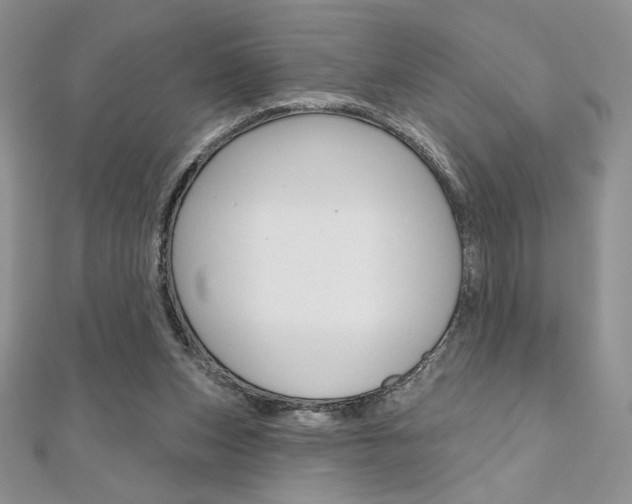 X0000112020159200908031049