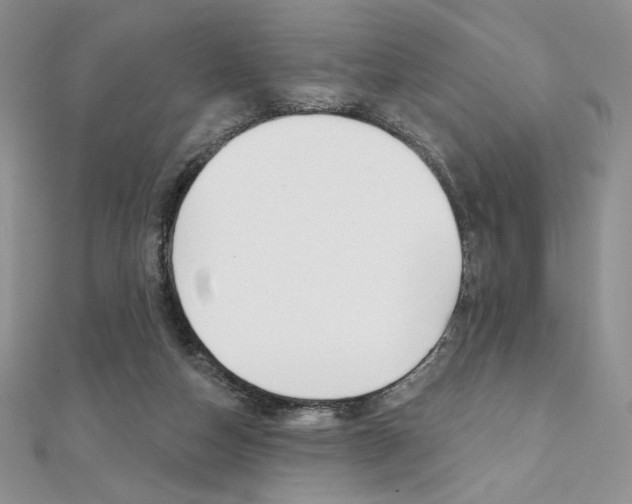 X0000112020162200908031049