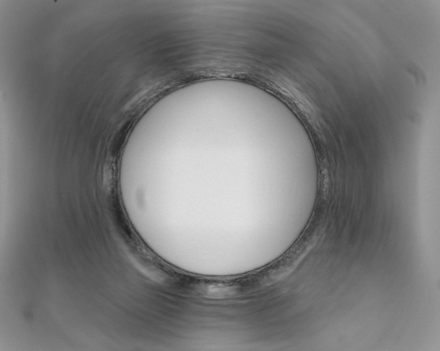 X0000112020165200908031049