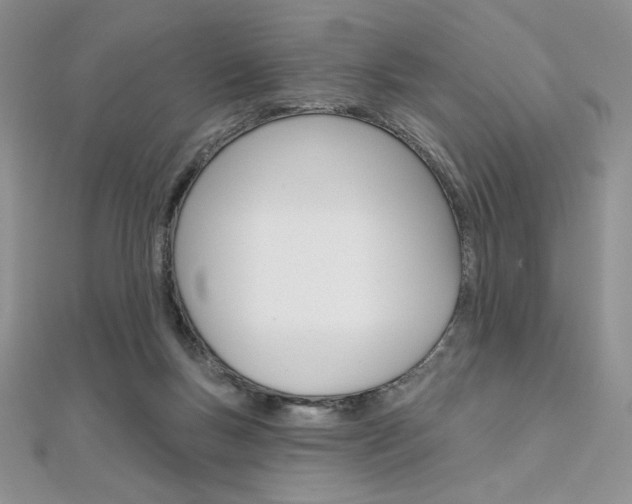 X0000112020167200908031049