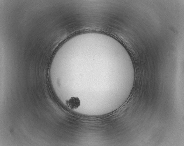 X0000112020168200908031049