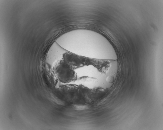 X0000112020169200908031049