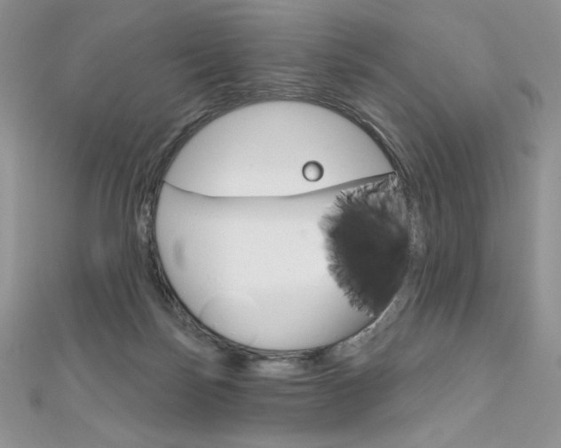 X0000112020171200908031049