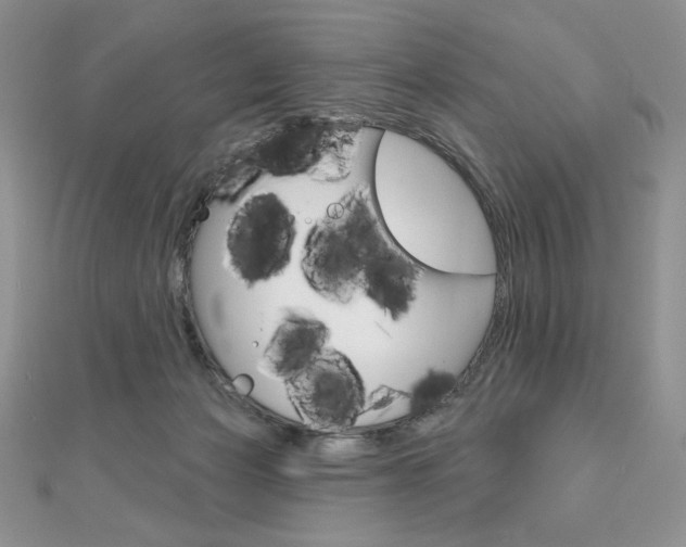 X0000112020173200908031049