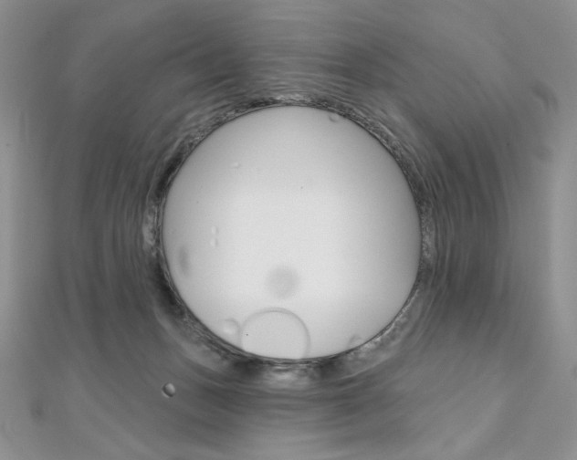 X0000112020175200908031049