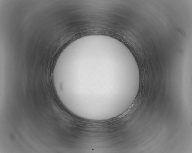 X0000112020176200908031049