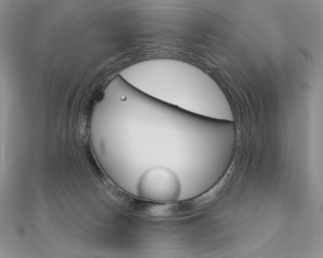 X0000112020178200908031049