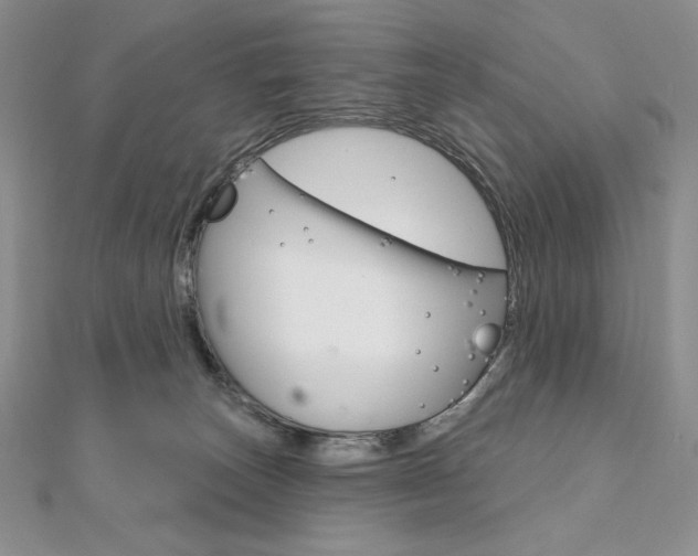 X0000112020179200908031049