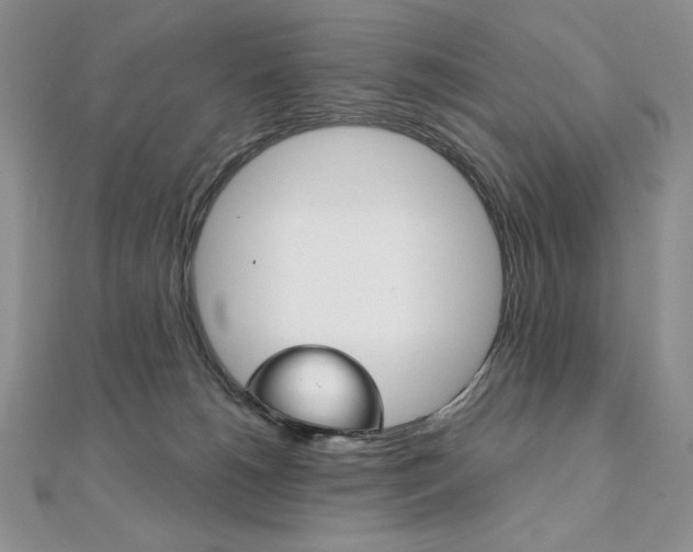 X0000112020180200908031049