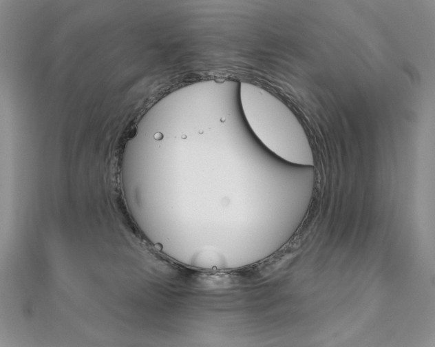 X0000112020181200908031049