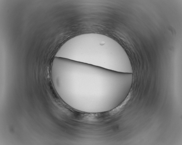 X0000112020182200908031049