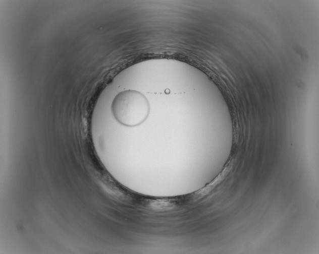 X0000112020183200908031049