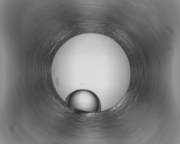 X0000112020184200908031049