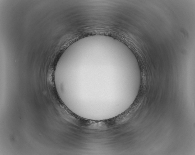 X0000112020185200908031049