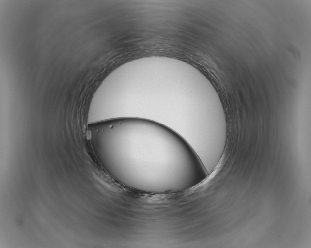 X0000112020186200908031049