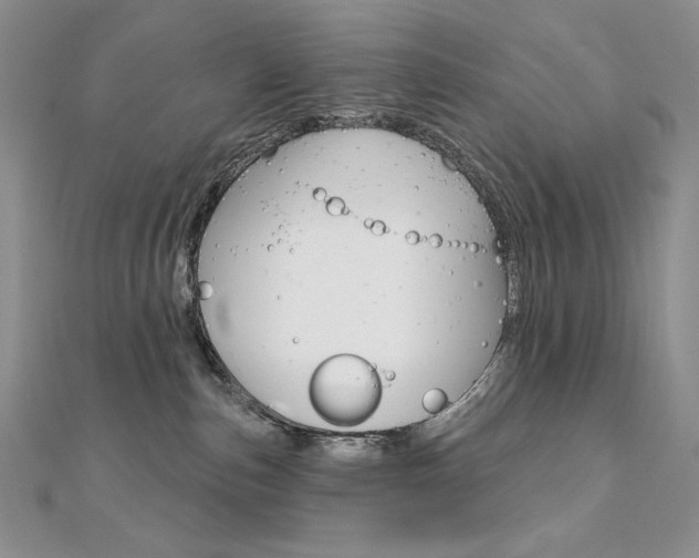 X0000112020187200908031049