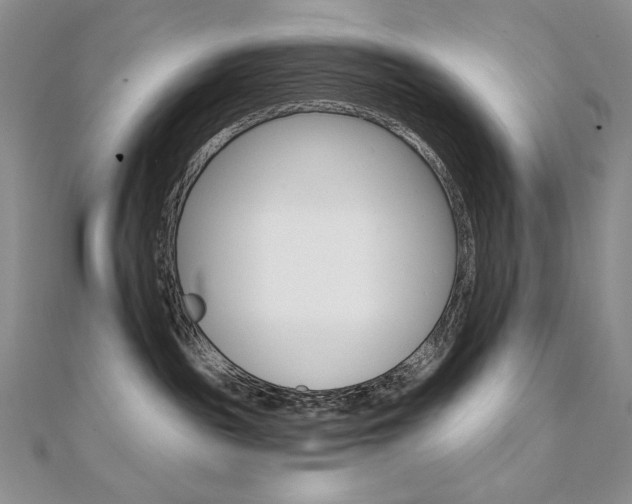 X0000112020189200908031049