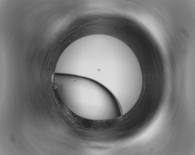 X0000112020190200908031049