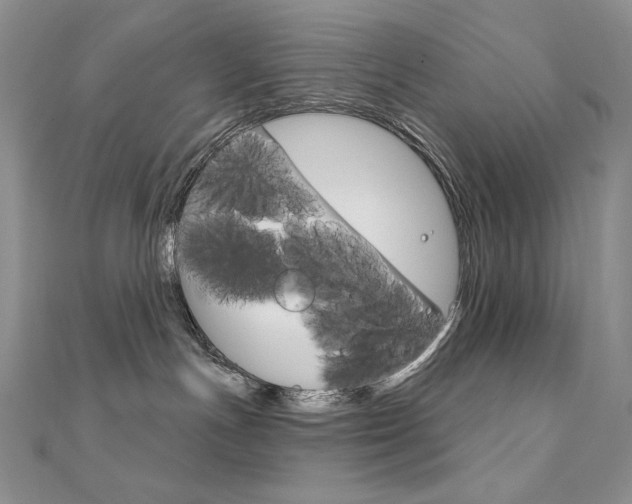 X0000112020191200908031049