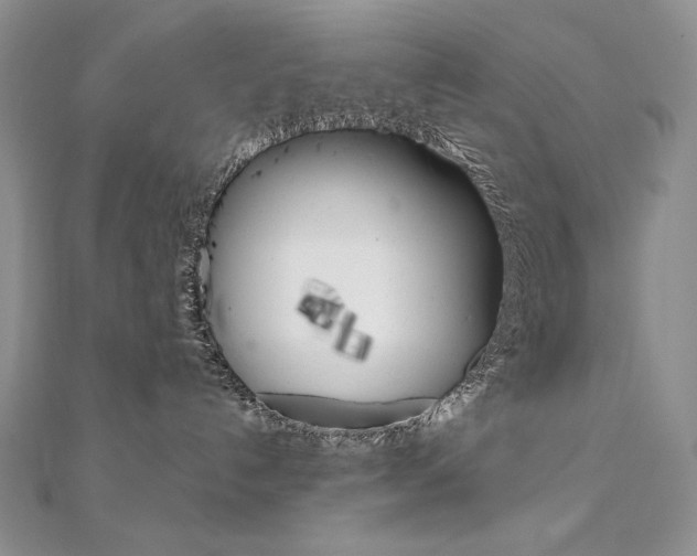 X0000112020192200908031049