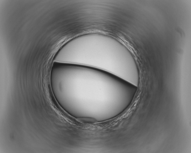 X0000112020193200908031048