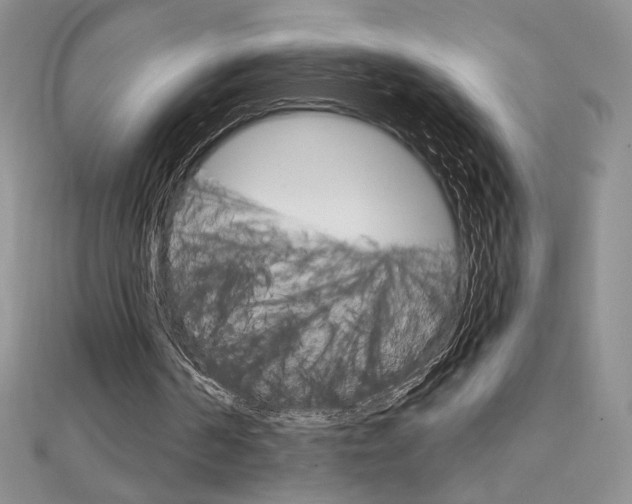 X0000112020194200908031048