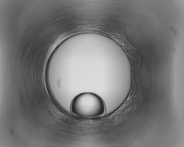 X0000112020195200908031048