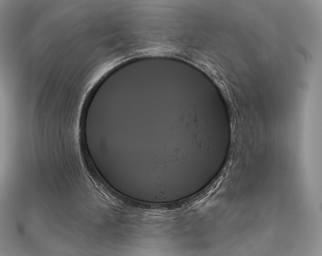 X0000112020196200908031048