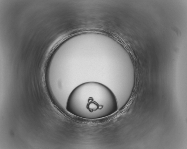 X0000112020197200908031048